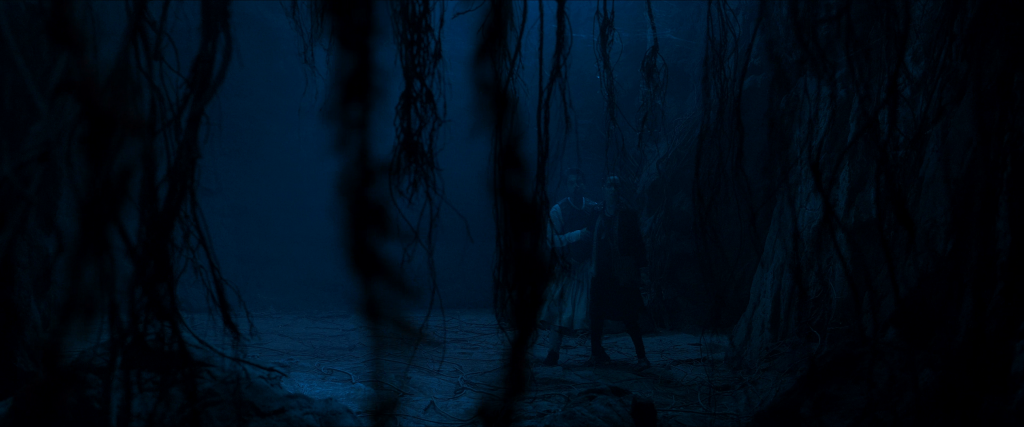 Stree.2.2024.2160p.WEB-DL.DDP.5.1.Atmos.H265-DUS.mkv_screenshot_06.png